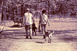 Za co všechno vám v přírodě hrozí pokuta